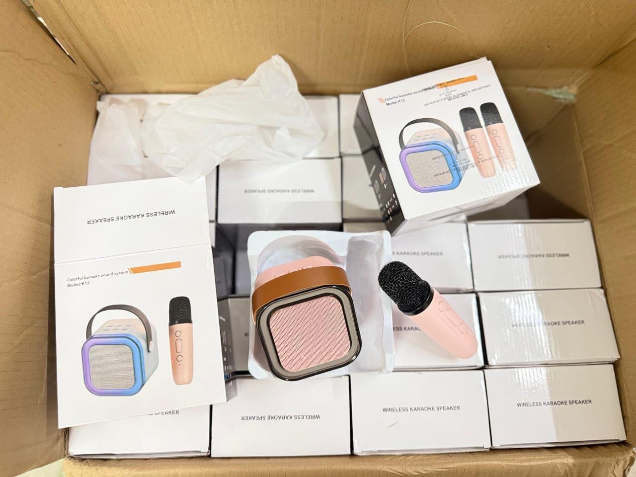 Karaoke Speaker with Mic